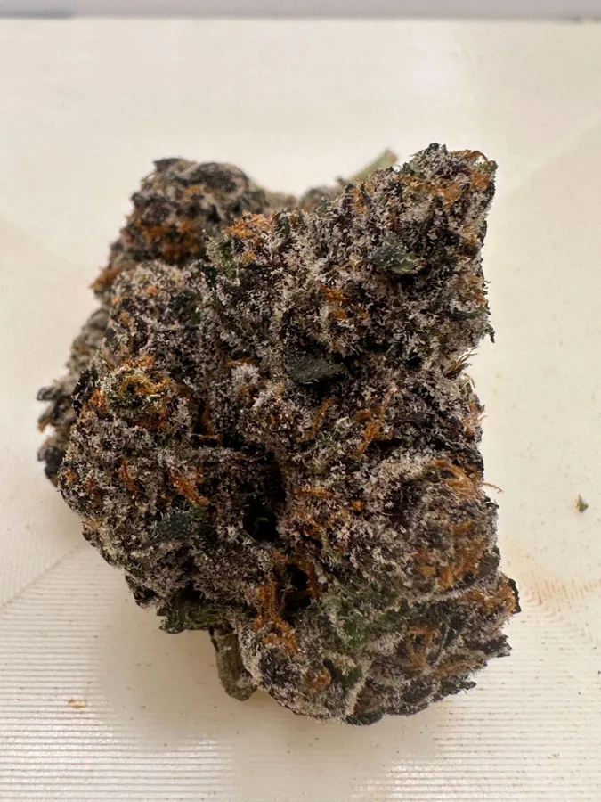 Biscotti