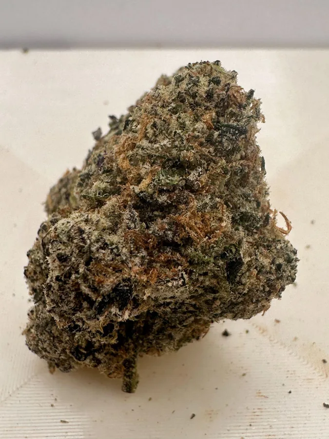 Orange Starburst