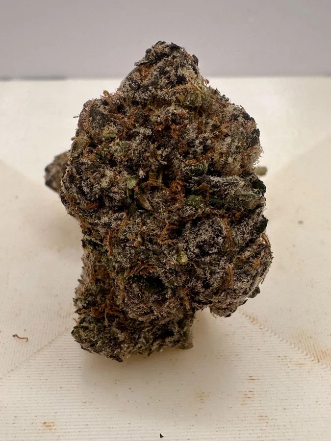 Christmas Cookie