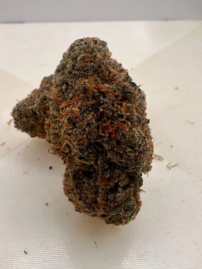 Grapefruit Chem